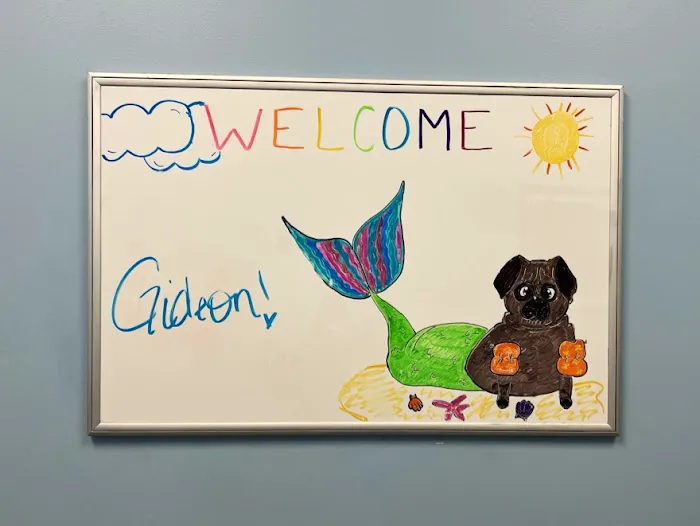Ravenswood Animal Hospital LLC Picture 2