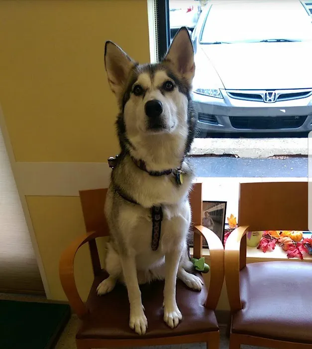 Ravenswood Animal Hospital LLC Picture 4