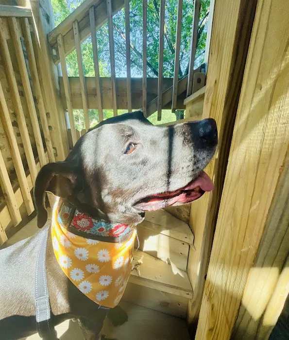 Ravenswood Animal Hospital LLC Picture 10