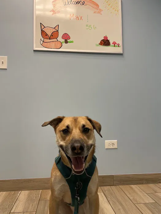 Ravenswood Animal Hospital LLC Picture 7