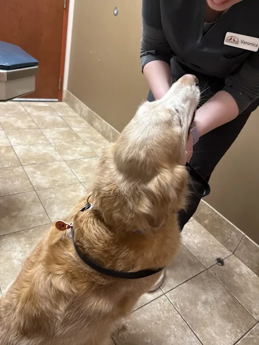 Uptown Animal Hospital Picture 5