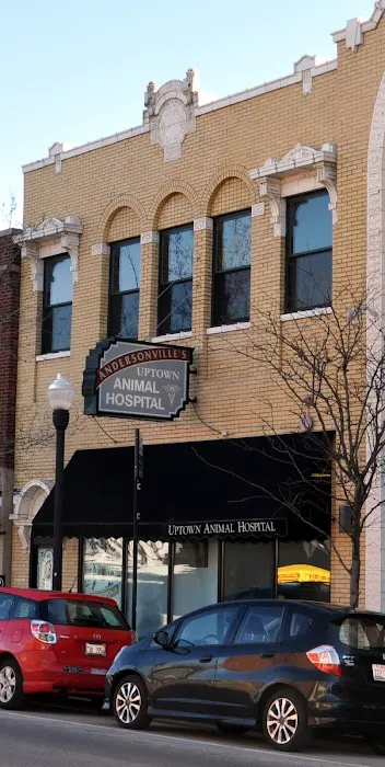 Uptown Animal Hospital Picture 1