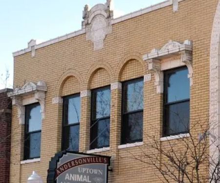 Uptown Animal Hospital