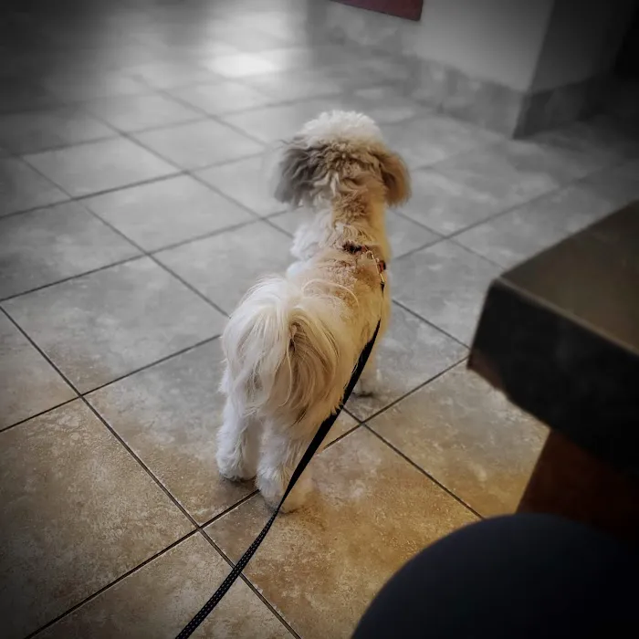 Uptown Animal Hospital Picture 9