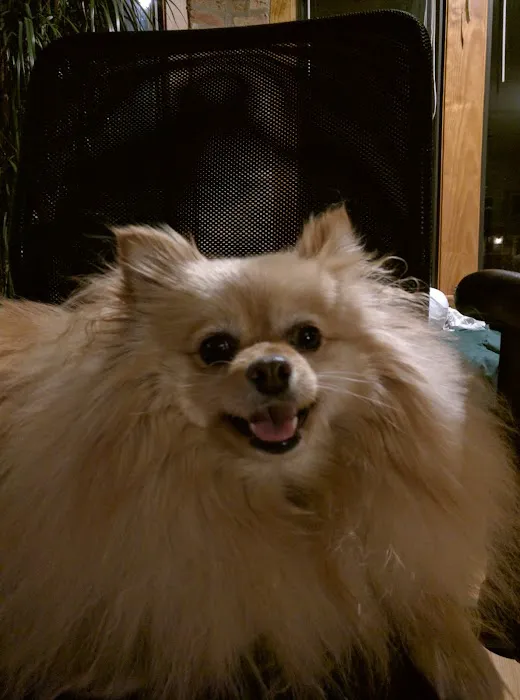 Uptown Animal Hospital Picture 8