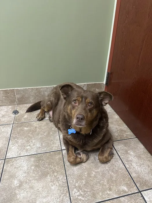 Uptown Animal Hospital Picture 2
