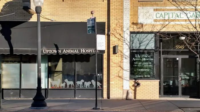 Uptown Animal Hospital: Tyler Kathryn DVM Picture 2