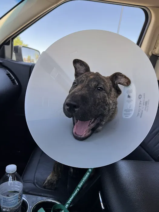 West Texas Veterinary Services Picture 1