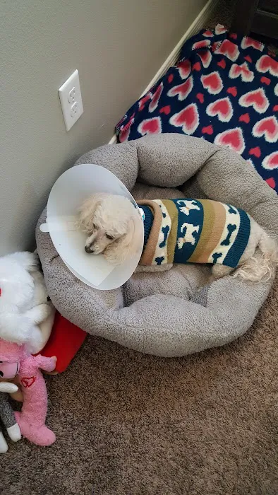 Allstar Animal Hospital Picture 4