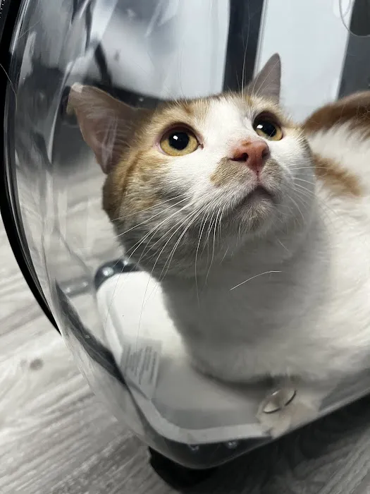 Golden Valley Animal Care Picture 10