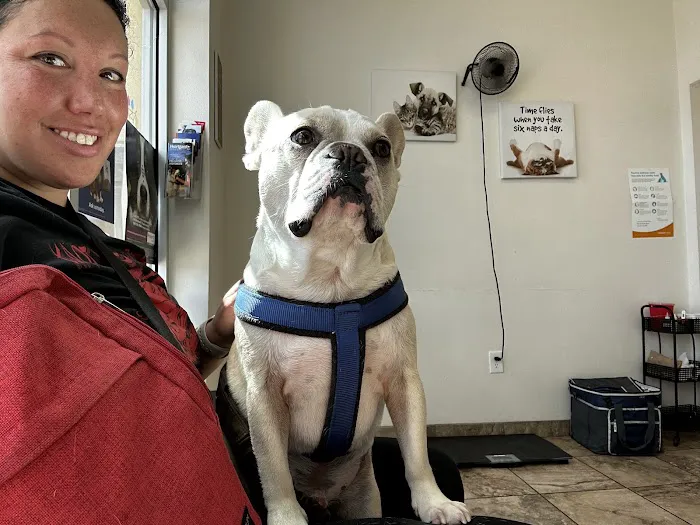 Eastlake Animal Clinic Picture 8
