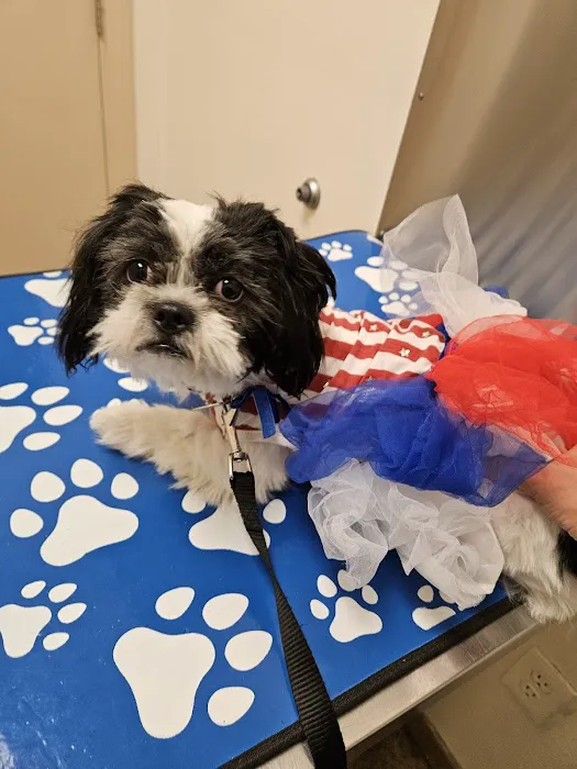Eastlake Animal Clinic Picture 7