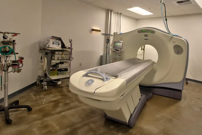 Animal Medical Center of Seattle Picture 2