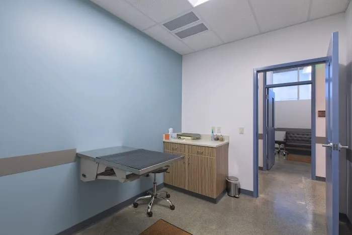 Animal Medical Center of Seattle Picture 4