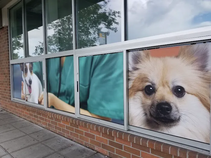 Animal Medical Center of Seattle Picture 7