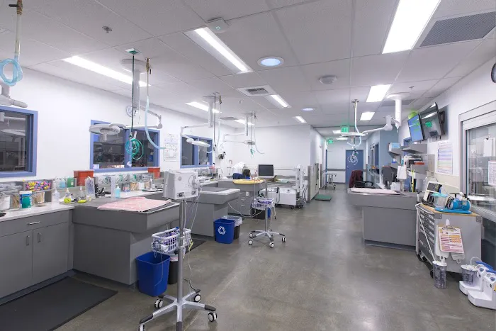 Animal Medical Center of Seattle Picture 6