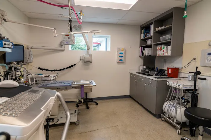 Animal Medical Center of Seattle Specialty Clinic Picture 3