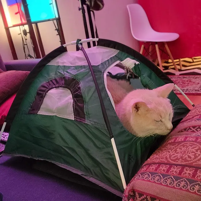 Feline Hyperthyroid Treatment Center Picture 1