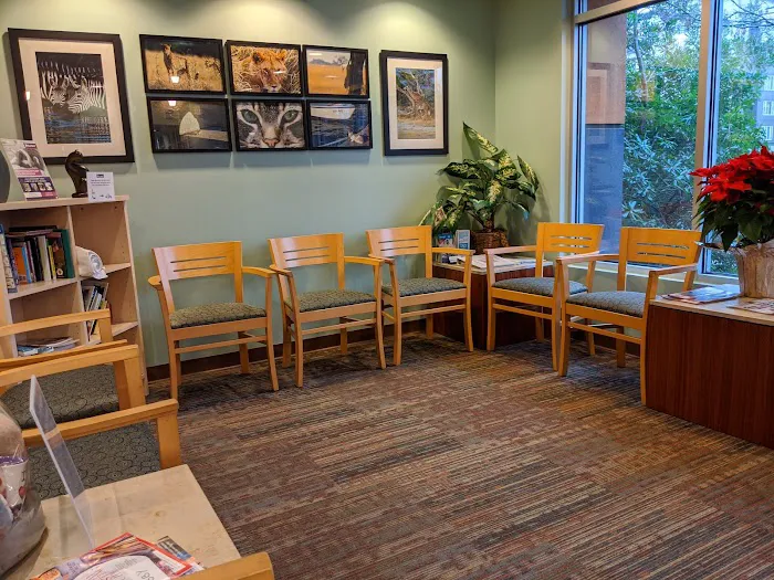 Cats Exclusive Veterinary Center Picture 10