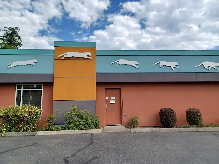 Cats Exclusive Veterinary Center Picture 3