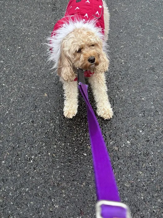 Holly Vet Clinic Picture 9