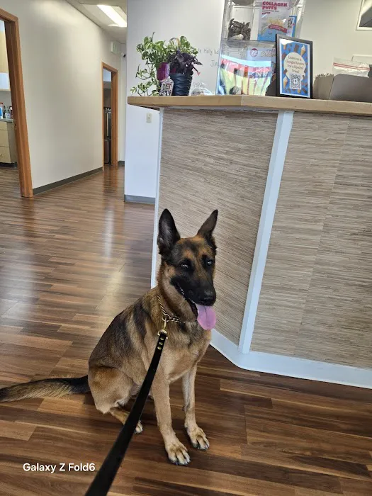 Holly Vet Clinic Picture 4