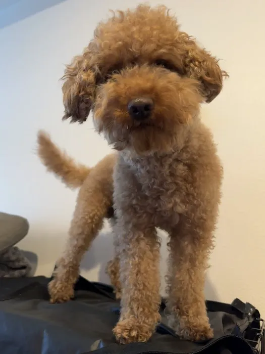 Holly Vet Clinic Picture 3