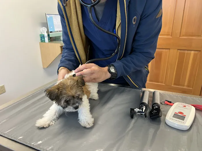 Holly Vet Clinic Picture 1