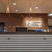 Inglemoor Animal Hospital ico