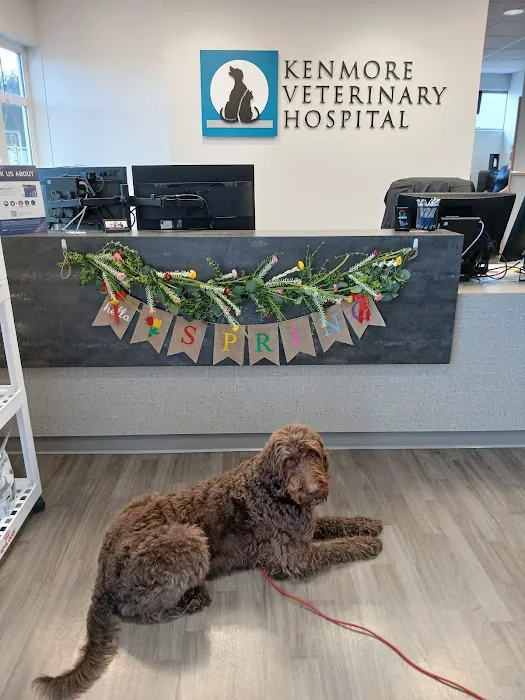 Kenmore Veterinary Hospital Picture 7