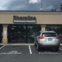 Shoreline Veterinary Hospital ico
