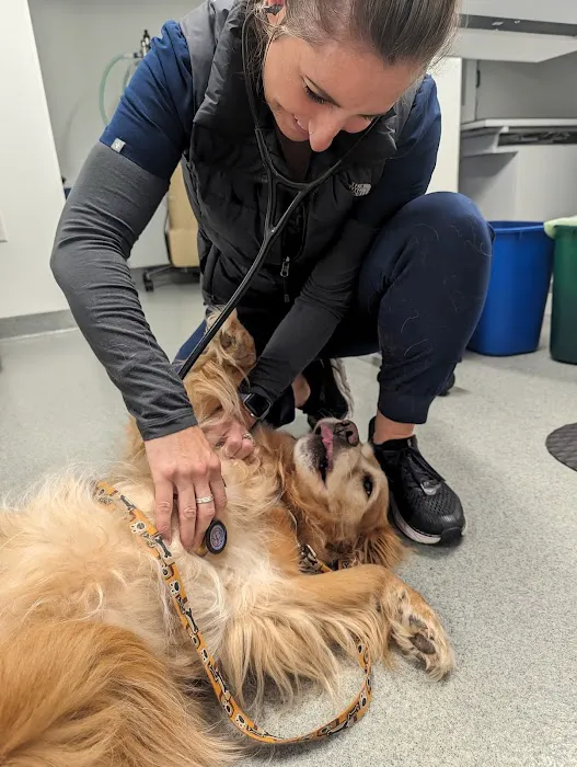 Northwest Veterinary Imaging Picture 3