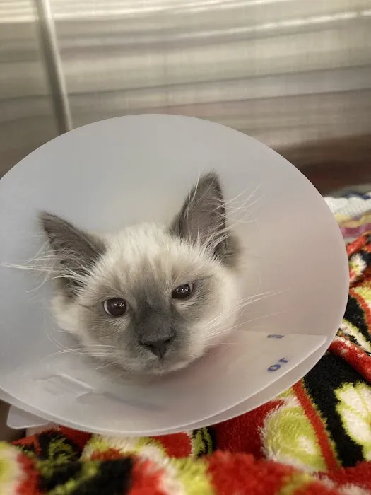 Juanita Hills Animal Hospital Picture 1