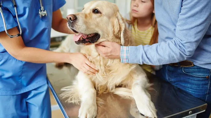 Juanita Hills Animal Hospital Picture 9