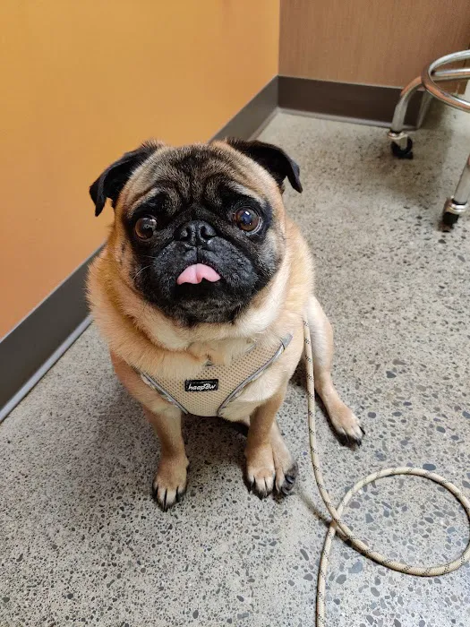Juanita Hills Animal Hospital Picture 8