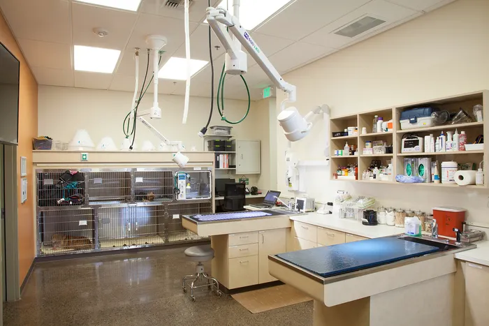 Juanita Bay Veterinary Hospital Picture 2