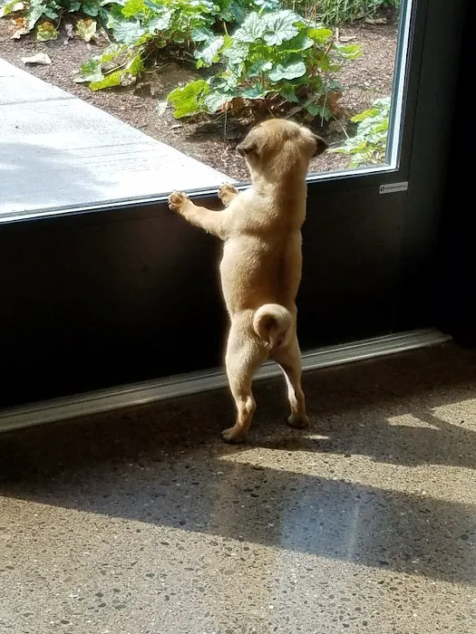 Juanita Bay Veterinary Hospital Picture 7