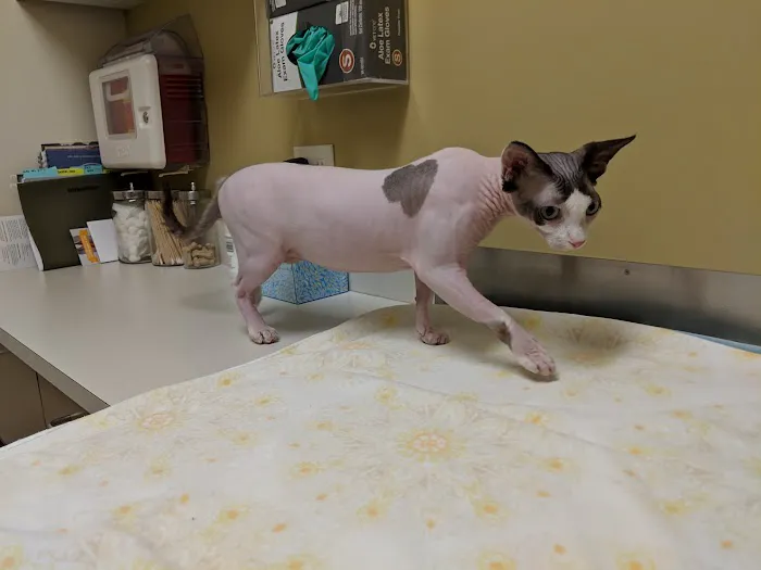 Juanita Bay Veterinary Hospital Picture 9