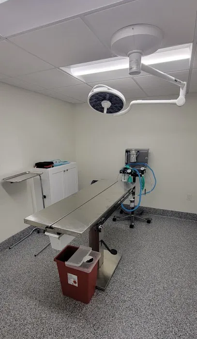 Inheart Animal Hospital Veterinarian | 한인 동물병원 Picture 6