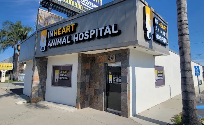 Inheart Animal Hospital Veterinarian | 한인 동물병원 Picture 4