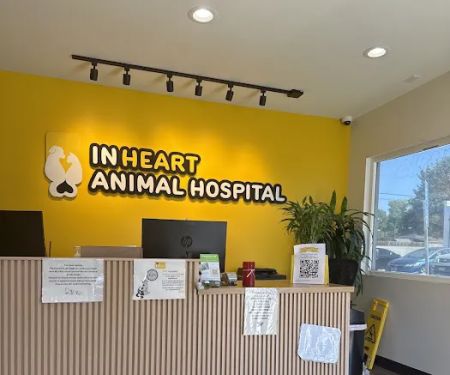 Inheart Animal Hospital Veterinarian | 한인 동물병원