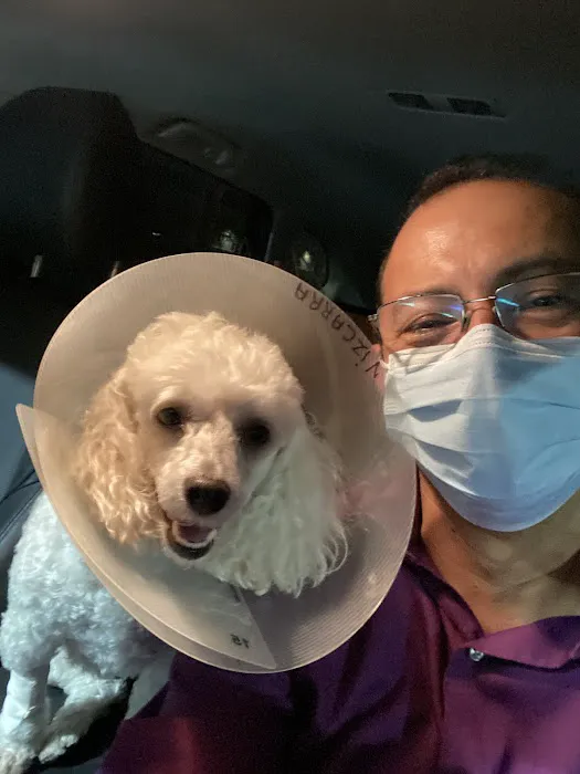City Line Pet Clinic Picture 5