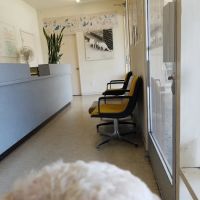 Rose Slauson Animal Hospital ico