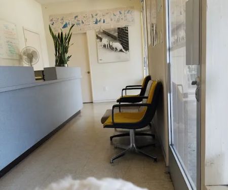 Rose Slauson Animal Hospital