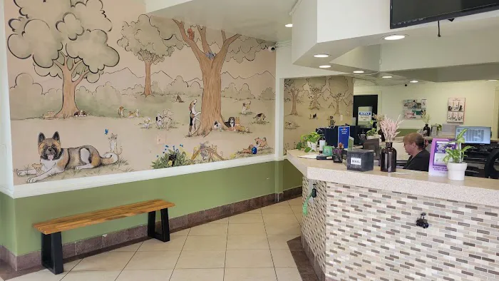 Pico Rivera Animal Hospital Picture 5