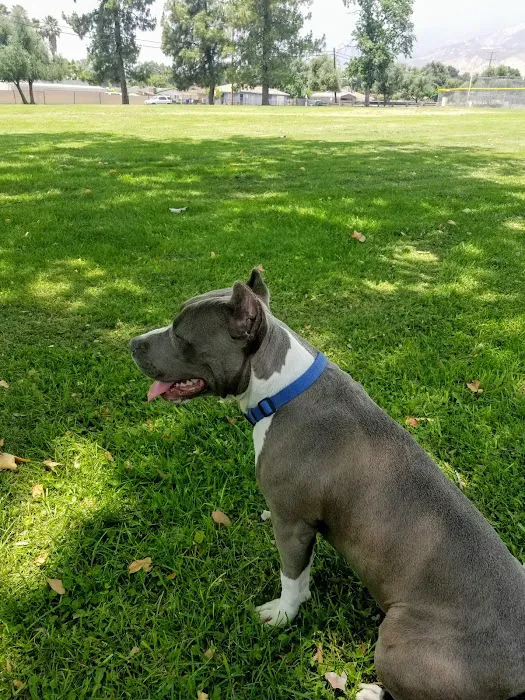 Pico Rivera Animal Hospital Picture 2