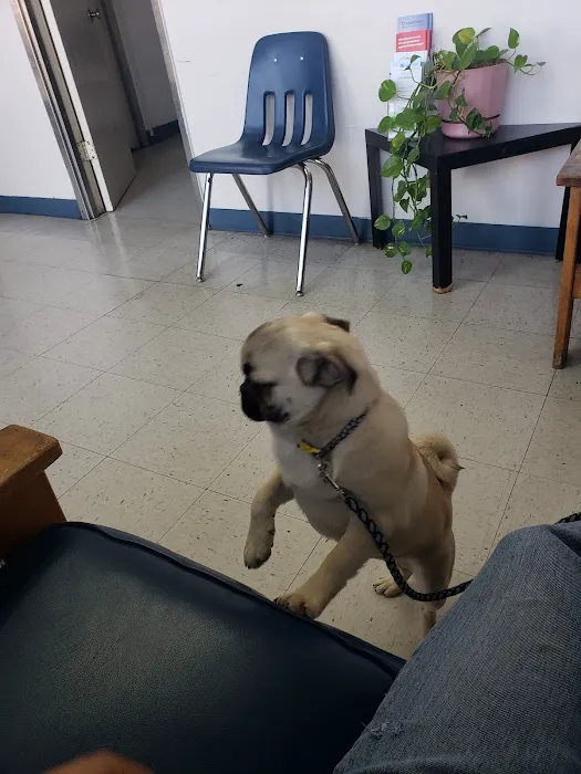 Southeast Pet Hospital Picture 5