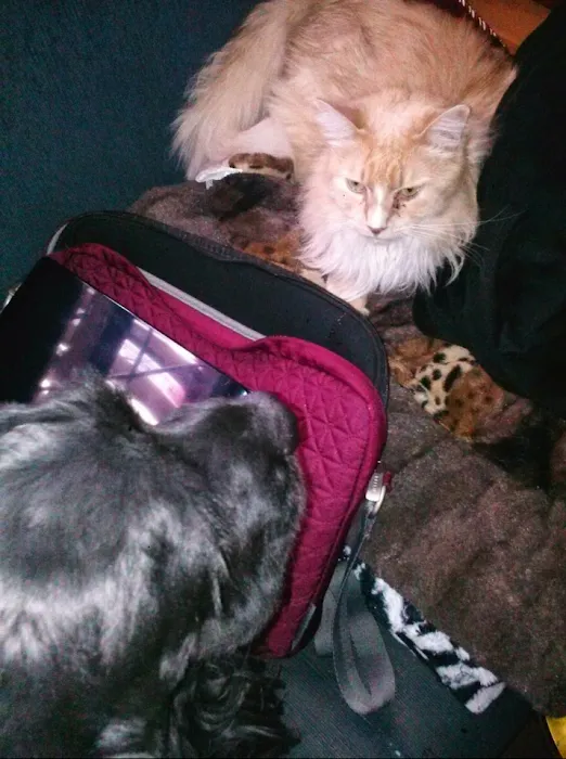 Southeast Pet Hospital Picture 10