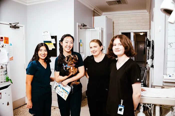 Imperial Animal Hospital Picture 4
