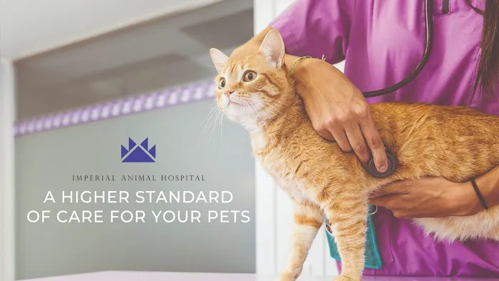 Imperial Animal Hospital Picture 2